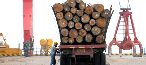 thủ tục nhập khẩu gỗ từ lào